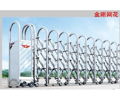 金剛網(wǎng)花
