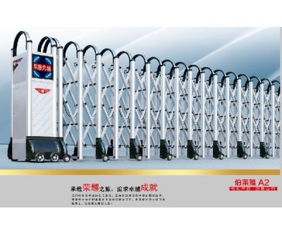 伯萊雅A2